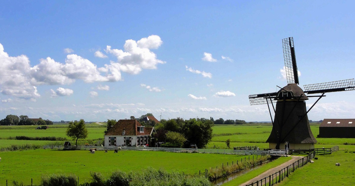 Dutch Flashcards | Flashcardo